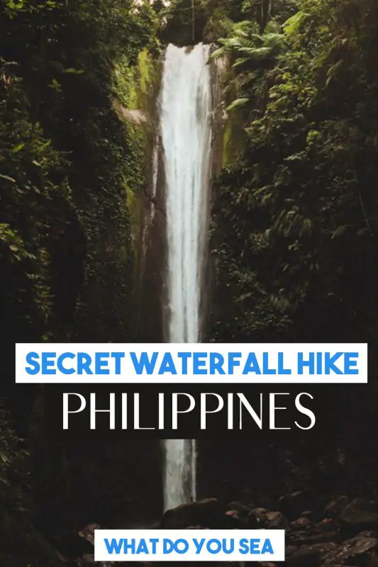 Casaroro Falls is a hidden gem nestled deep in the jungle of Dumaguete, The Philippines. For the adventurers at heart and avid explorer, this hike will lead you to one of the most beautiful waterfalls in all of the Philippines. #casarorofalls #thephilippines