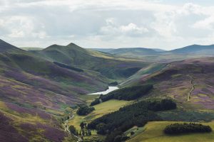 A scenic view of the Pentland Hills near Edinburgh, featuring rolling green and purple heather-covered hills, a winding path, a small lake nestled in the valley, and patches of dense woodland under a partly cloudy sky.