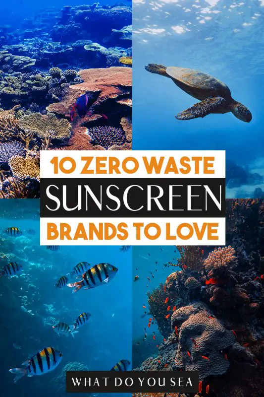 zero waste sunscreen, zero waste, sun protection, plastic free, reef safe, reef safe sunscreen, water resistant, vegan, nano zinc oxide, zero waste sunscreens, raw elements, organic ingredients, broad spectrum protection, eco friendly, sustainable, sustainable sunscreen, waste free sunscreen, plastic free sunscreen