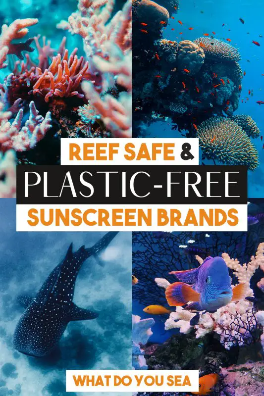 Plastic free sunscreen, plastic free, reef safe, reef safe sunscreen, reef safe sun protection, sustainable sunscreen, non-nano zinc oxide, waste free sunscreen, waste free, zero waste travel kit, zero waste sunscreen, eco friendly, sustainable, water resistant, broad spectrum, raw elements, dirty hippie, apothecary muse, trail botanica, butter me up organics