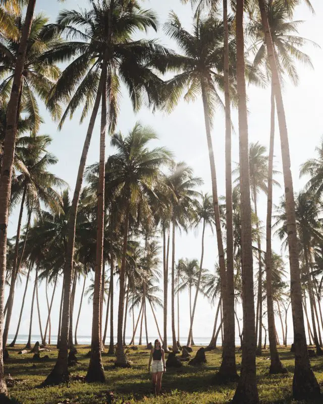 travel tips for the philippines, philippines travel tips, tips for traveling siargao, siargao, siargao philippines, siargao island travel tips,