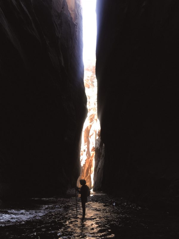 The narrows hike, zion narrows hike, how to hike the narrows, zion narrows, the narrows, zion national park hikes, best hikes in zion national park, the narrows zion, the narrows utah, the narrows wall street, complete guide for hiking the narrows,