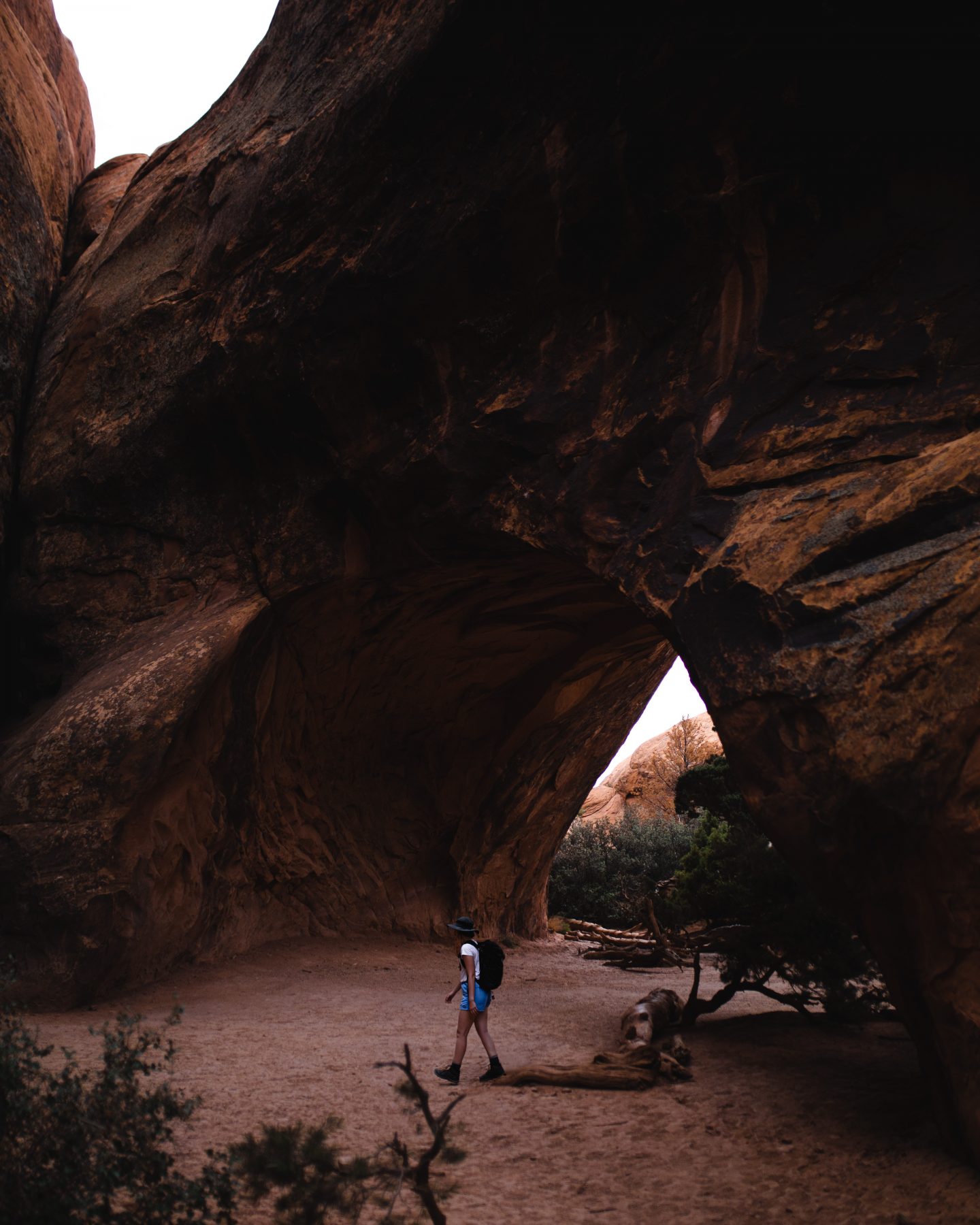 best hikes in arches national park, best hikes in arches, hikes in arches national park, hikes in arches, arches hikes, arches national park hikes, arches national park, moab, moab utah, utah national parks, utah mighty five, sand dune arch, turret arch, devils garden, devils garden primitive loop, double arch, broken arch, delicate arch, fiery furnace, tower arch,