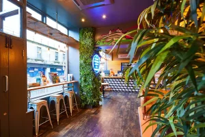 A bright and modern reception area at St Christopher's Inn in Edinburgh. The space features a long window bar with stools, a green living wall, a large neon sign, and a geometric pattern on the reception desk. A large potted plant is in the foreground on the right.