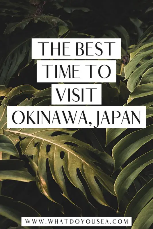 If you’re planning a trip to Okinawa, Japan, you want to make sure you choose the best month to visit. When is the best time to visit Okinawa’s beaches, military bases,and eat delicious food? Click to read a month-by-month breakdown and the best month to visit according to a local! #okinawa #japan #visitOkinawa #okinawajapan