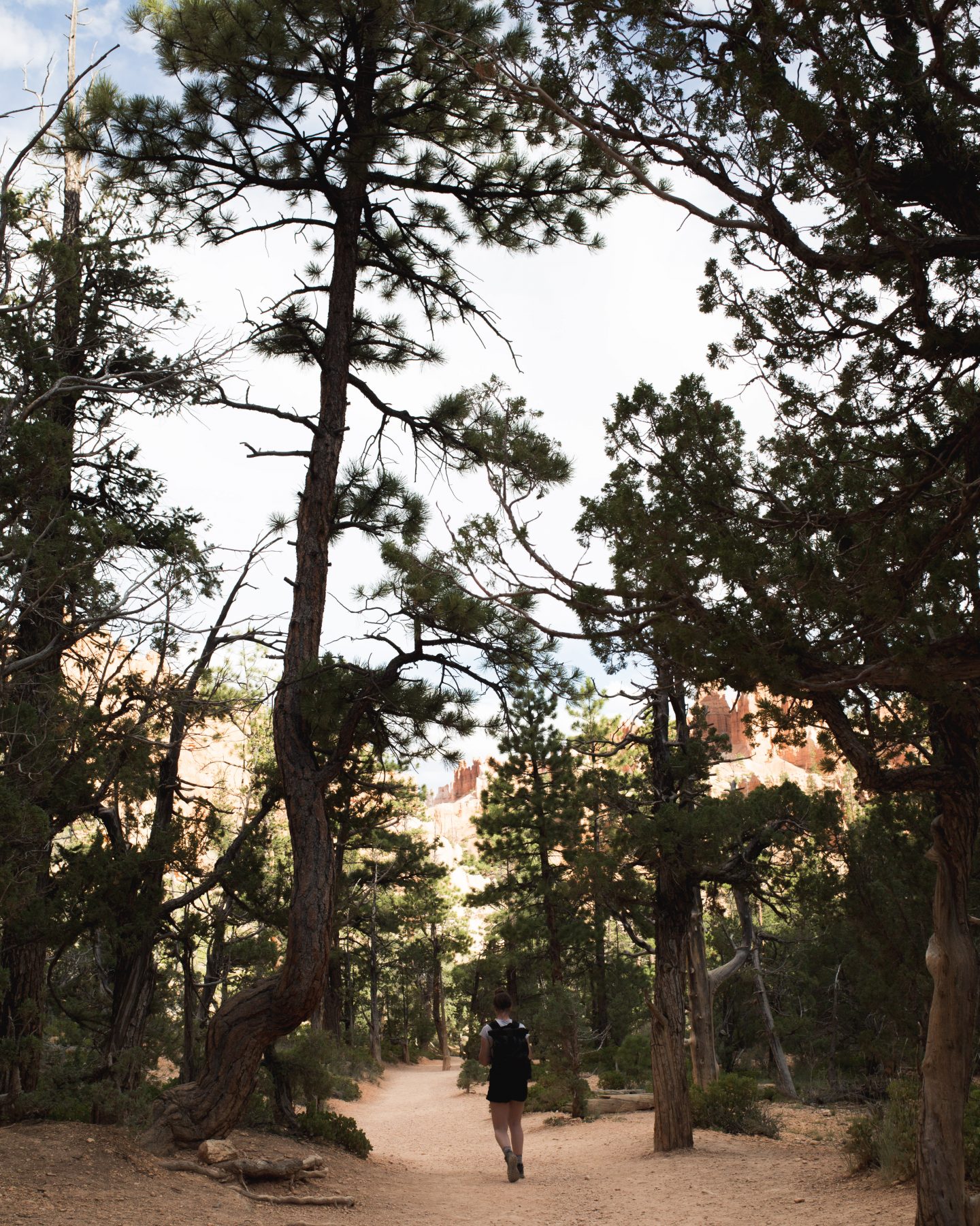 bryce canyon camping reddit bryce canyon camping reddit