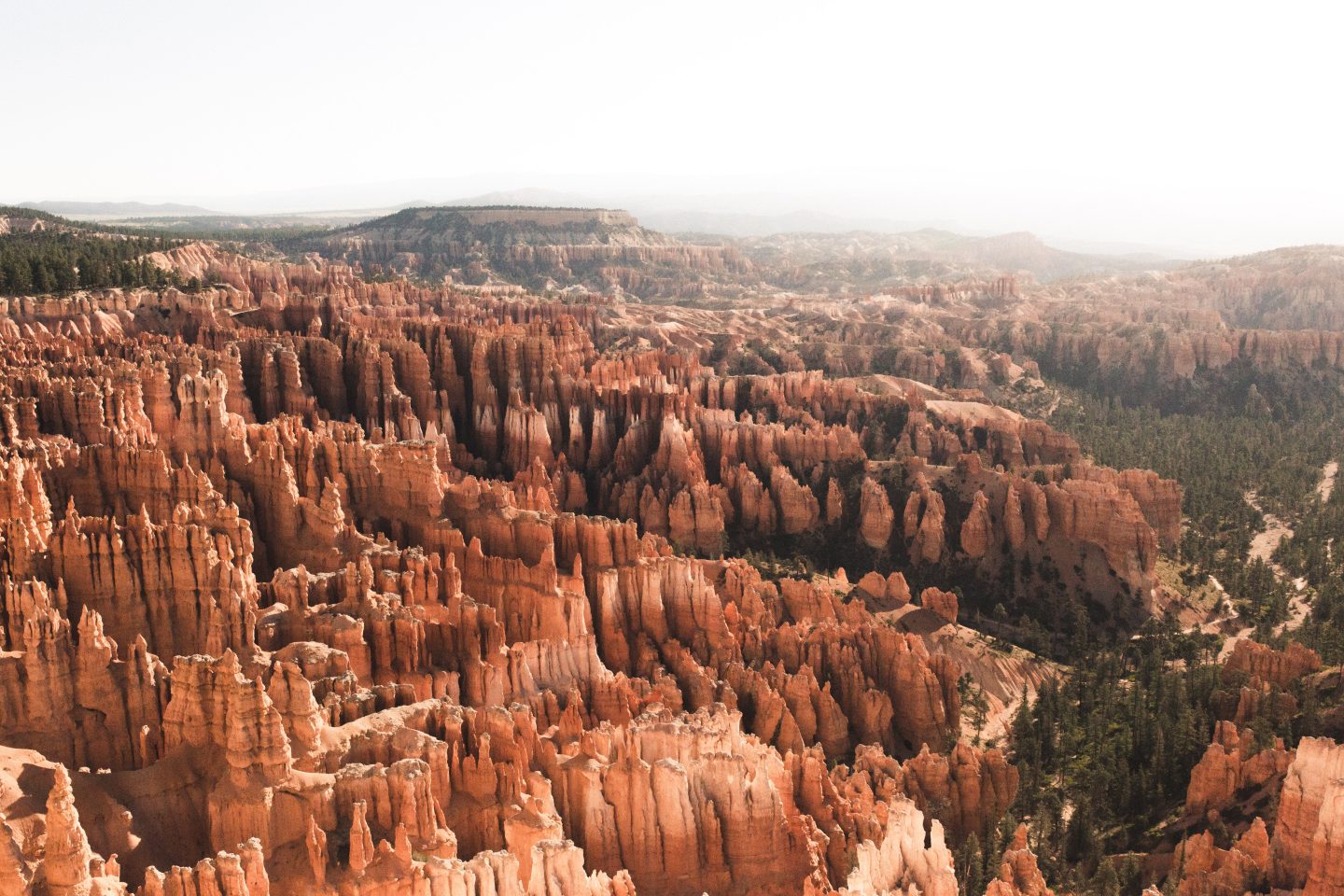 One day in bryce canyon, 1 day in bryce canyon, bryce canyon 1 day itinerary, bryce canyon itinerary, bryce canyon national park, bryce canyon, navajo loop trail, queens garden trail, bryce canyon scenic drive, sunset point, sunrise point, bryce point, inspiration point, rim trail, wall street, things to do in bryce canyon, where to stay in bryce canyon, best time to visit bryce canyon, bryce amphitheater