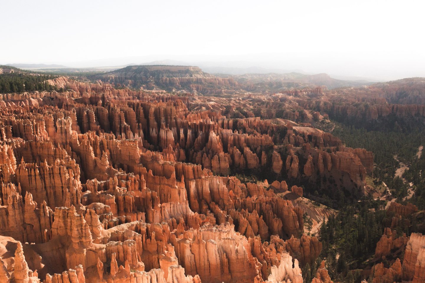 Camping in Bryce Canyon National Park is one of the best ways to explore this underrated park amongst Utah’s Mighty Five. Pack up your camping gear and discover the best campsites inside Bryce Canyon, outside the park, and free alternatives if you’re on a budget! #utah #brycecanyon #camping