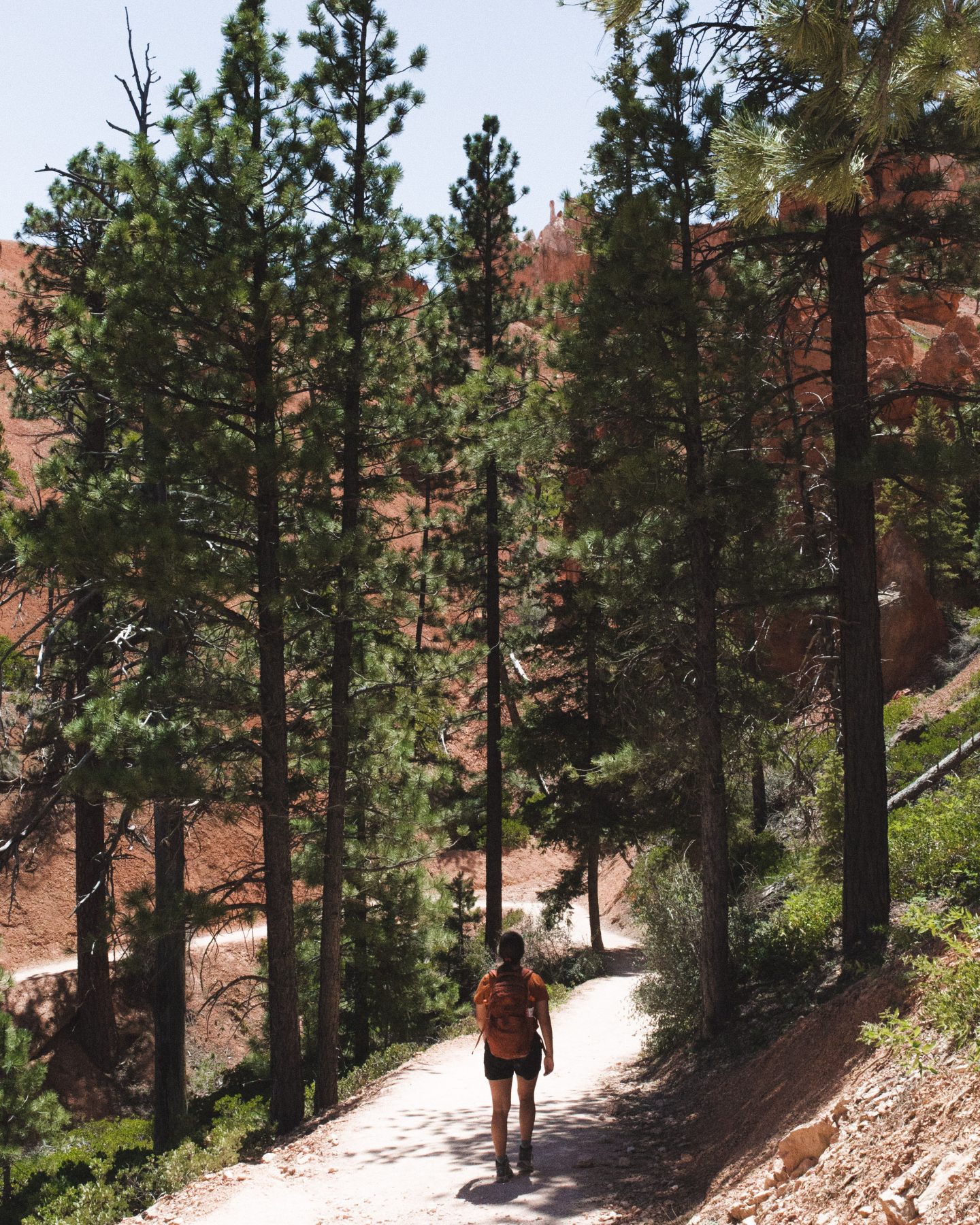 One day in bryce canyon, 1 day in bryce canyon, bryce canyon 1 day itinerary, bryce canyon itinerary, bryce canyon national park, bryce canyon, navajo loop trail, queens garden trail, bryce canyon scenic drive, sunset point, sunrise point, bryce point, inspiration point, rim trail, wall street, things to do in bryce canyon, where to stay in bryce canyon, best time to visit bryce canyon, bryce amphitheater