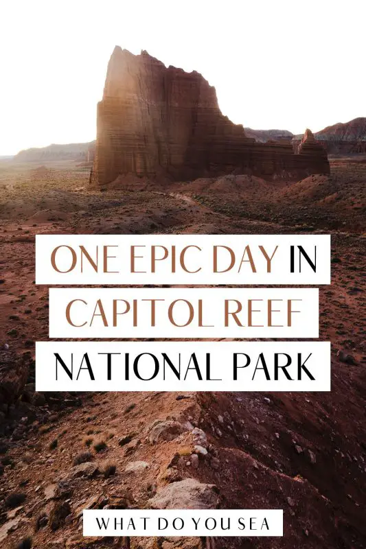 Looking for the best Capitol Reef National Park itinerary for only one day? Allow me to take you through the most beautiful parts of this special Utah park! Explore all the top photography and hiking locations, scenic drives, and petrogylphs in this park! Don't forget to download the FREE map for your adventure!