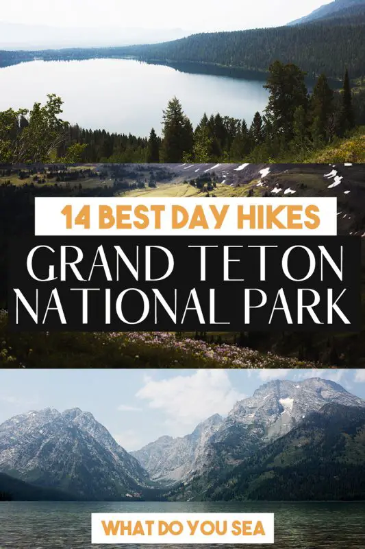 best hikes in grand teton, best hikes in grand teton national park, hikes in grand teton national park, hikes in grand teton, hikes in the tetons, grand teton hikes, jenny lake, jenny lake ranger station, jenny lake boat shuttle, jenny lake loop trail, leigh lake, leigh lake trailhead, string lake, string lake trailhead, bradley lake, taggart lake, delta lake, day hikes in grand teton, best day hikes in the tetons, grand teton national park, amphitheater lake, surprise lake, paintbrush canyon, paintbrush divide, granite canyon, marion lake