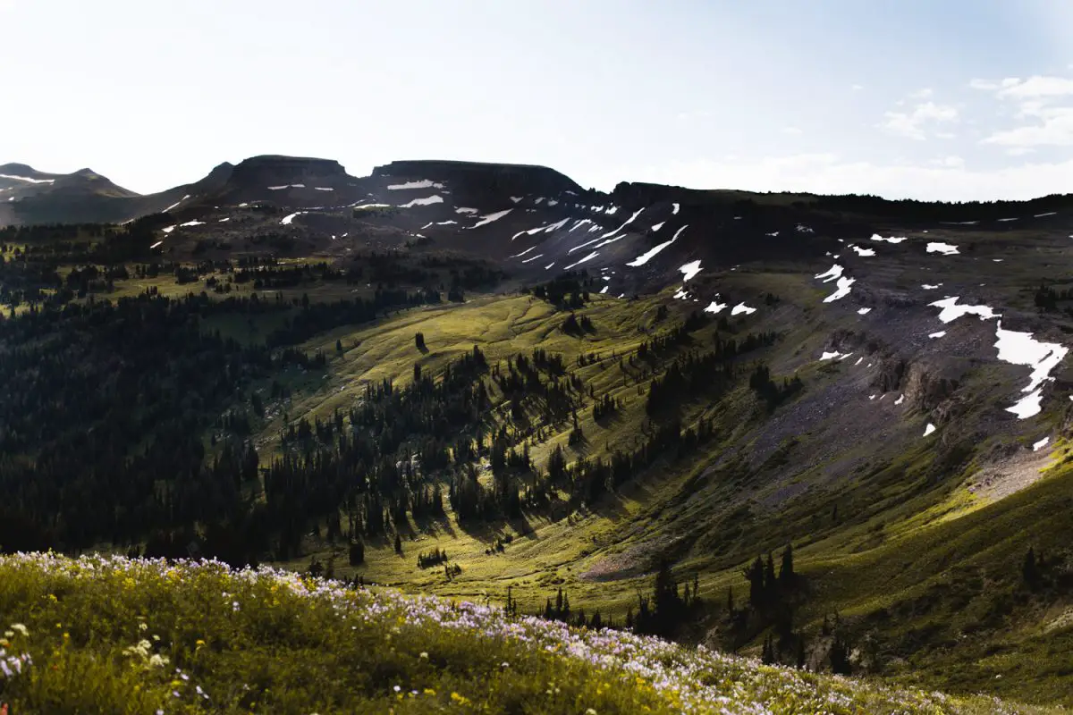 grand teton national park hikes, grand teton hikes, hikes in the tetons, best hikes in grand teton national park, best hikes in grand teton, death canyon, death canyon trailhead, death canyon shelf, death canyon trail, death canyon patrol cabin,