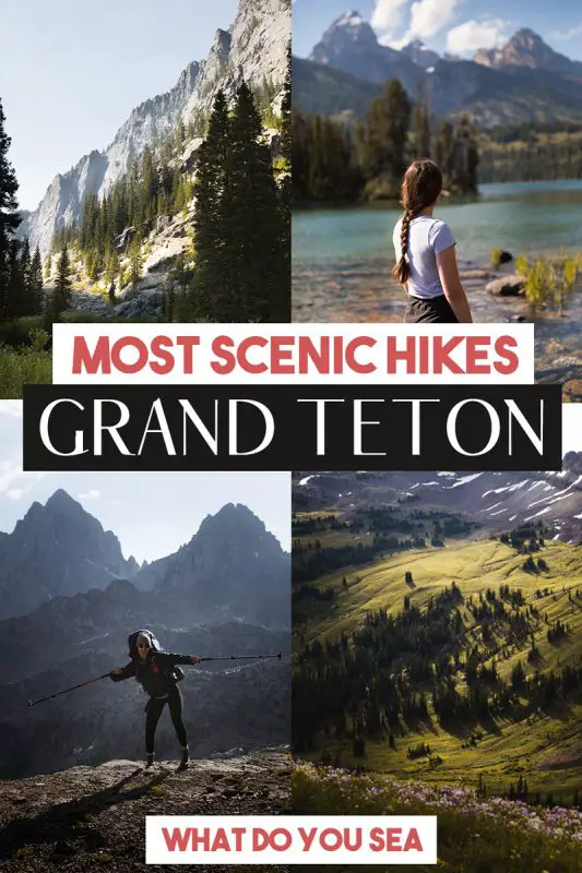best hikes in grand teton, best hikes in grand teton national park, hikes in grand teton national park, hikes in grand teton, hikes in the tetons, grand teton hikes, jenny lake, jenny lake ranger station, jenny lake boat shuttle, jenny lake loop trail, leigh lake, leigh lake trailhead, string lake, string lake trailhead, bradley lake, taggart lake, delta lake, day hikes in grand teton, best day hikes in the tetons, grand teton national park, amphitheater lake, surprise lake, paintbrush canyon, paintbrush divide, granite canyon, marion lake