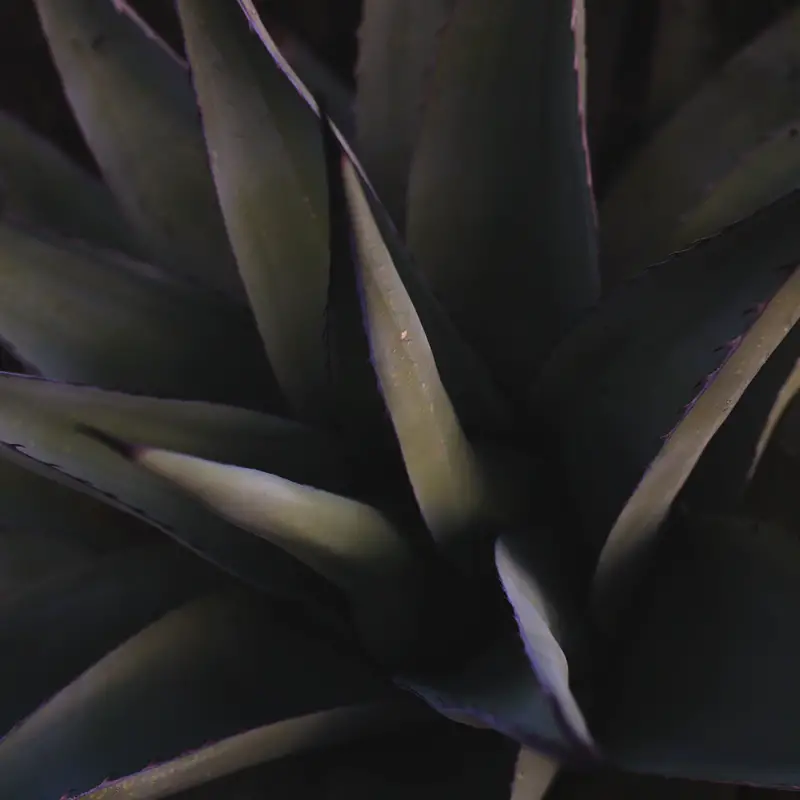 Sustainable gift ideas, eco friendly gift ideas, sustainable gifts, zero waste, eco friendly, plastic free, ethically made, fair trade, eco friendly gifts, sustainable, organic cotton,