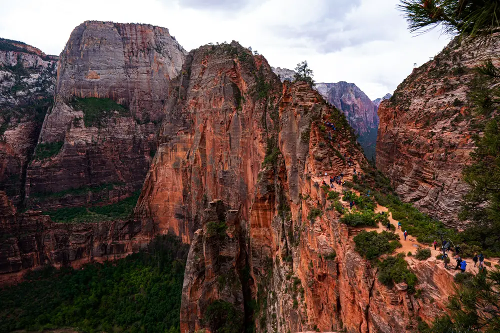 Zion national park, zion national park itinerary, zion itinerary, 2 days in zion, zion national park 2 day itinerary, 2 days in zion national park, things to do in zion, day hikes in zion, viewpoints in zion, angels landing, the narrows, mount carmel highway, emerald pools trail, pa’rus trail, riverside walk, observation point, zion national park lodge, zion human history museum, canyon overlook trail, scouts lookout