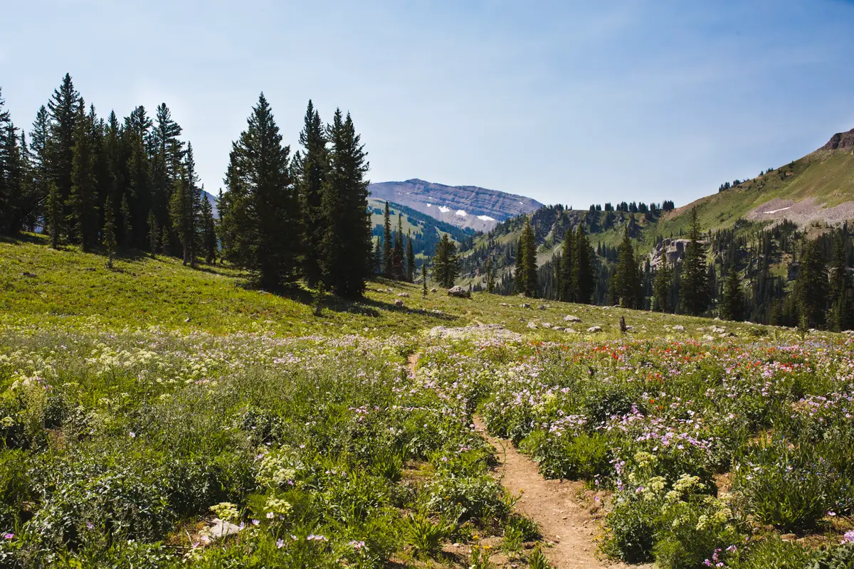 Grand teton national park, grand teton, grand tetons, grand teton itinerary, grand teton national park itinerary, jenny lake, jenny lake lodge, teton road trip, one day in grand teton, grand teton 1 day itinerary, grand teton 2 day itinerary, grand teton 3 day itinerary, grand teton 4 day itinerary, grand teton 5 day itinerary, mormon row, hidden falls, inspiration point, grand teton road trip itinerary, things to do in grand teton, hiking in grand teton, 