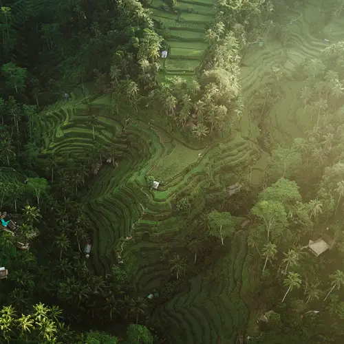 Ubud bali, ubud itinerary, 3 days in ubud, 3 day ubud itinerary, things to do in ubud, what to see in ubud, ubud bali holiday, how many days in ubud, things to do in ubud at night, what to do in bali ubud, ubud bali holiday, CAMPUHAN RIDGE WALK, SACRED MONKEY FOREST, UBUD ART MARKET, UBUD PALACE, SARASWATI TEMPLE, SCENIC RICE TERRACE WALK, MOUNT BATUR, AUTHENTIC BALINESE COOKING CLASS, TEGALALANG RICE TERRACES, LEKE LEKE WATERFALL, AIR TEJUN NUNGNUNG, NUNGNUNG WATERFALL, PURA TIRTA EMPUL, TIBUMANA WATERFALL, KANTO LAMPO WATERFALL, ubud itinerary 3 days, ubud bali hostels, where to stay in ubud,