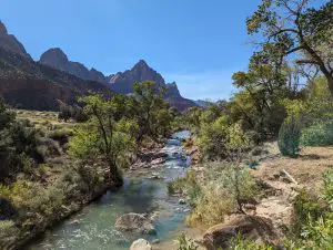 The Virgin River creates a lush oasis flowing through Zion with the towering Watchman peak in the distance. One of the best views among all the easy hikes in Zion