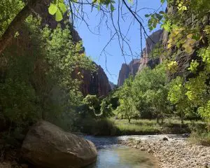 a turquoise stream flows through verdant foliage beneath tall canyon walls