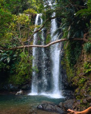 A triple-streamed waterfall cascades into a shallow pool framed by verdant tropical rainforest in Nago, Okinawa.