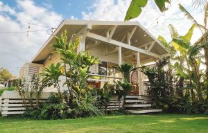 A small white wooden bungalow is surrounded bu tropical plants and verdant green grass at the Guava shack, a top recommendation for where to stay in Okinawa.