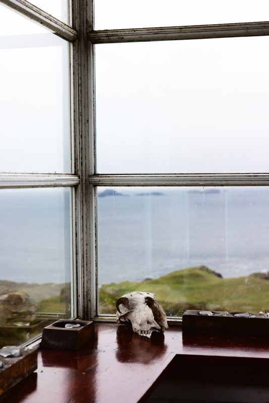 Sheep skull on the bothy's wooden windowsill with the grey sea beyond the glass.